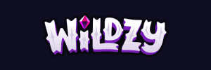 wildzy casino logo